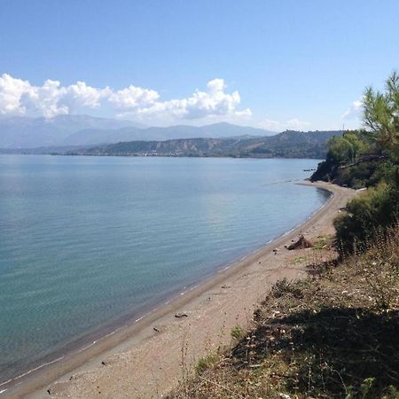 Camping Golden Sunset Alissos Dış mekan fotoğraf