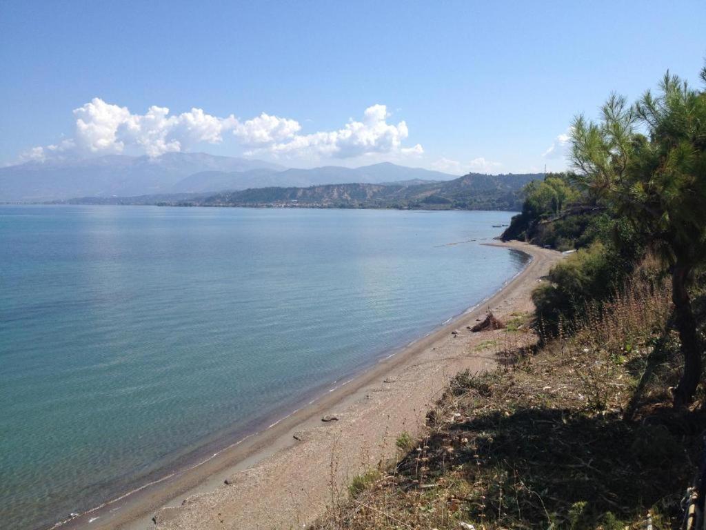 Camping Golden Sunset Alissos Dış mekan fotoğraf